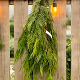 Christmas Cedar & Pine Fresh Bundle