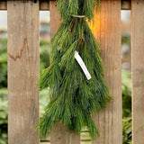 Christmas Cedar & Pine Fresh Bundle