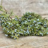 Christmas Cedar & Pine Fresh Bundle