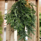 Christmas Cedar & Pine Fresh Bundle