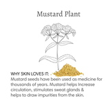100% Natural Mustard Bath Soak