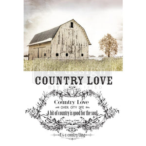Out in the Farm Decor Transfer