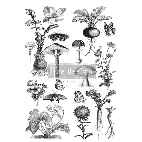 Fungi Forest Decor Tansfer