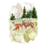 Fauna Decor Transfer
