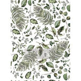Fern Woods Decor Transfer