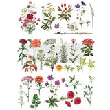 Floral Collection Decor Transfer